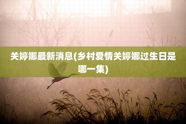 关婷娜最新消息(乡村爱情关婷娜过生日是哪一集)