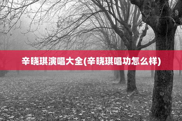 辛晓琪演唱大全(辛晓琪唱功怎么样)