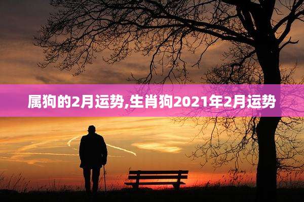 属狗的2月运势,生肖狗2021年2月运势