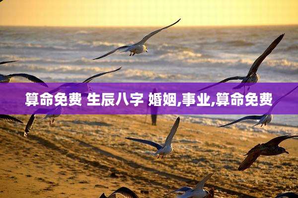 算命免费 生辰八字 婚姻,事业,算命免费