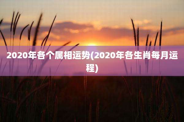 2020年各个属相运势(2020年各生肖每月运程)