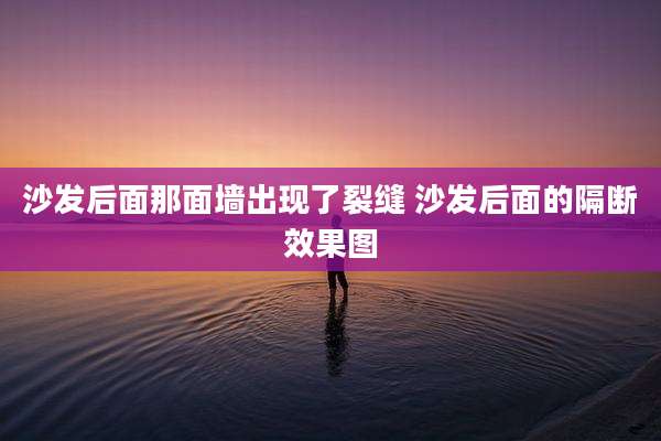 沙发后面那面墙出现了裂缝 沙发后面的隔断效果图