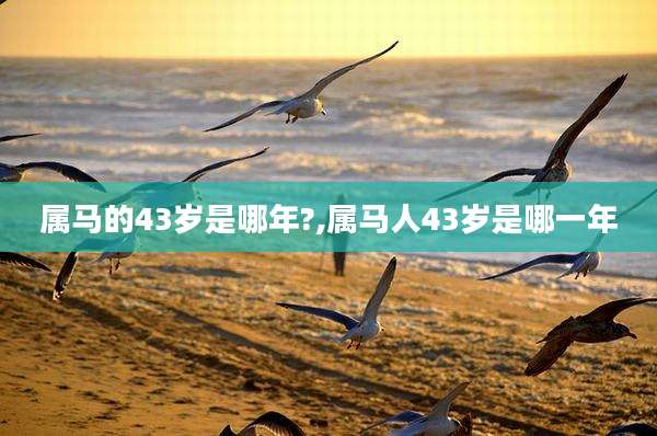 属马的43岁是哪年?,属马人43岁是哪一年