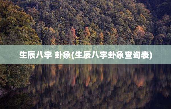生辰八字 卦象(生辰八字卦象查询表)
