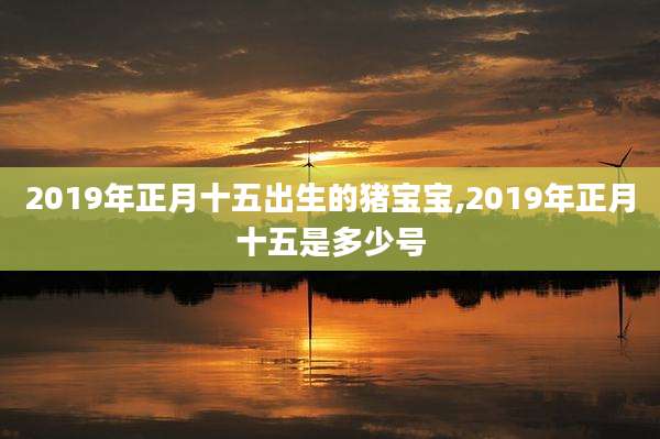 2019年正月十五出生的猪宝宝,2019年正月十五是多少号