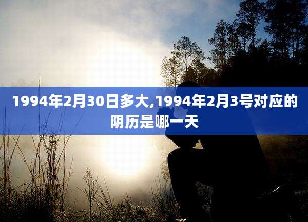 1994年2月30日多大,1994年2月3号对应的阴历是哪一天