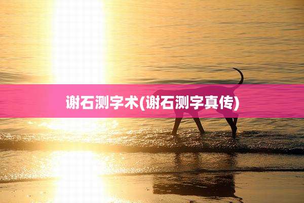 谢石测字术(谢石测字真传)
