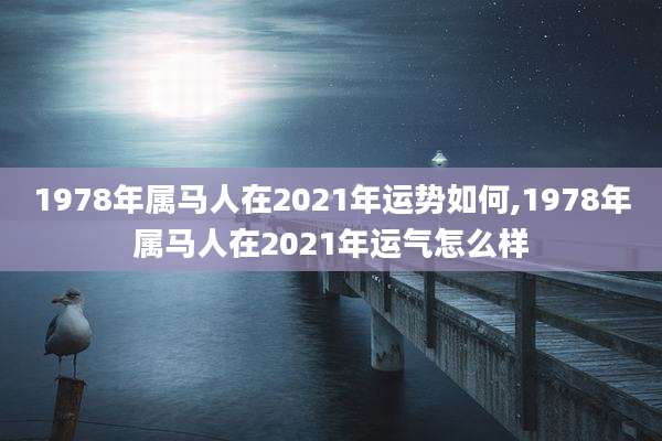 1978年属马人在2021年运势如何,1978年属马人在2021年运气怎么样