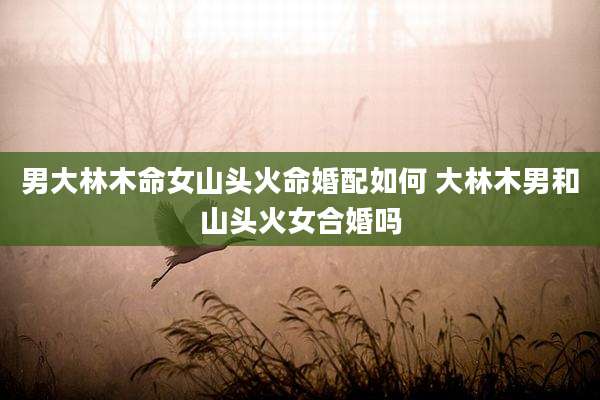 男大林木命女山头火命婚配如何 大林木男和山头火女合婚吗