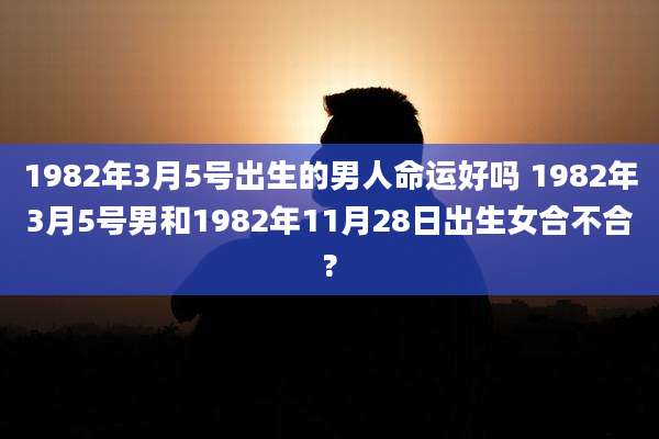 1982年3月5号出生的男人命运好吗 1982年3月5号男和1982年11月28日出生女合不合?