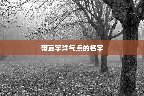 带豆字洋气点的名字