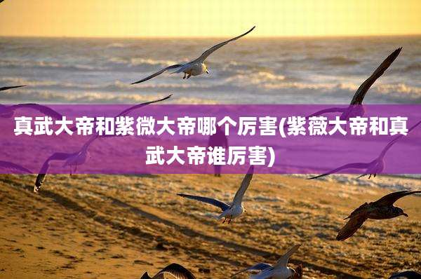 真武大帝和紫微大帝哪个厉害(紫薇大帝和真武大帝谁厉害)