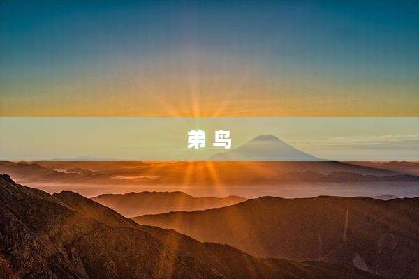 弟 鸟
