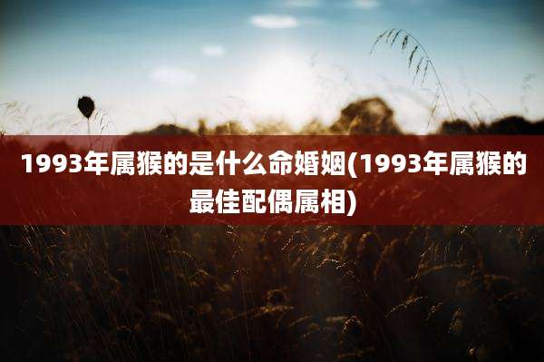 1993年属猴的是什么命婚姻(1993年属猴的最佳配偶属相)