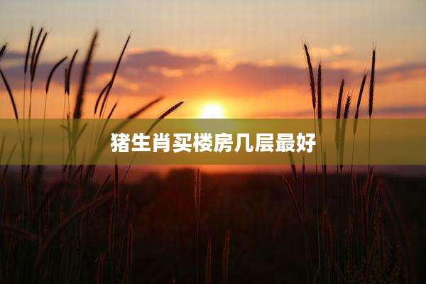 猪生肖买楼房几层最好