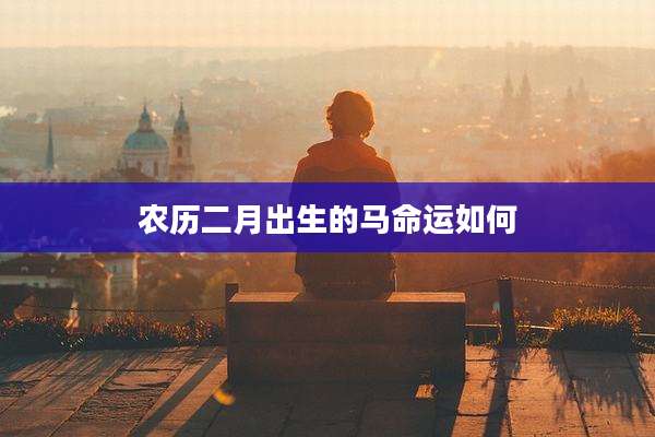 农历二月出生的马命运如何