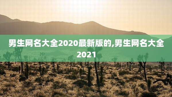 男生网名大全2020最新版的,男生网名大全2021