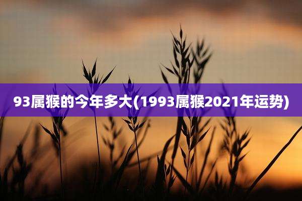 93属猴的今年多大(1993属猴2021年运势)