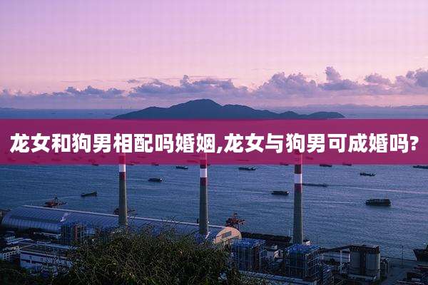 龙女和狗男相配吗婚姻,龙女与狗男可成婚吗?
