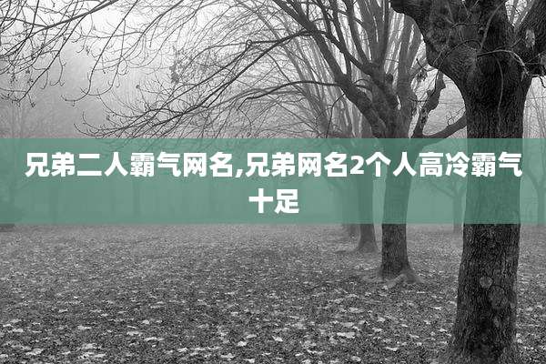 兄弟二人霸气网名,兄弟网名2个人高冷霸气十足