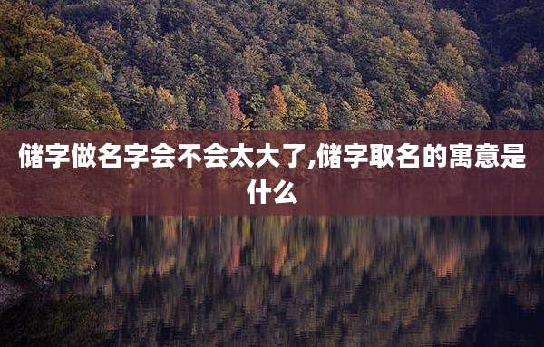 储字做名字会不会太大了,储字取名的寓意是什么