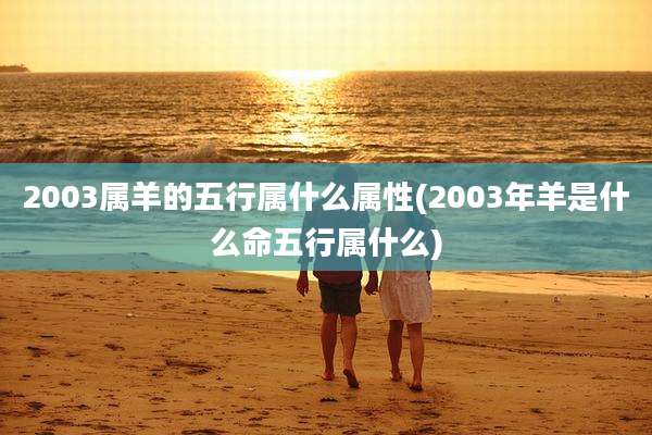 2003属羊的五行属什么属性(2003年羊是什么命五行属什么)