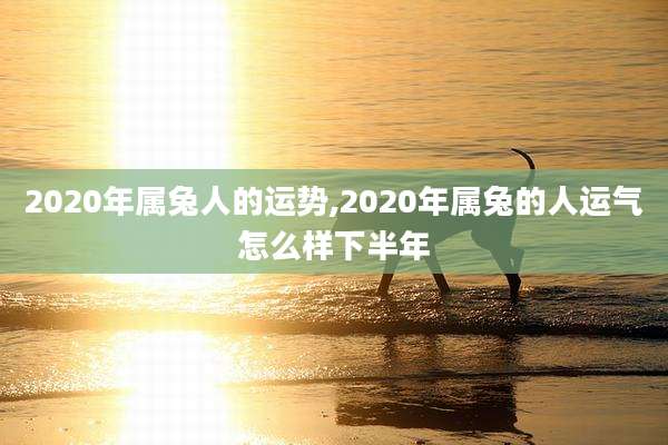 2020年属兔人的运势,2020年属兔的人运气怎么样下半年