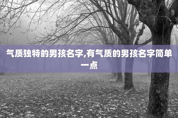 气质独特的男孩名字,有气质的男孩名字简单一点