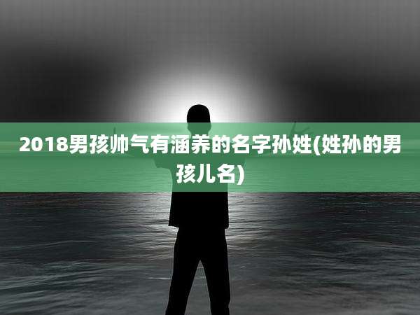 2018男孩帅气有涵养的名字孙姓(姓孙的男孩儿名)