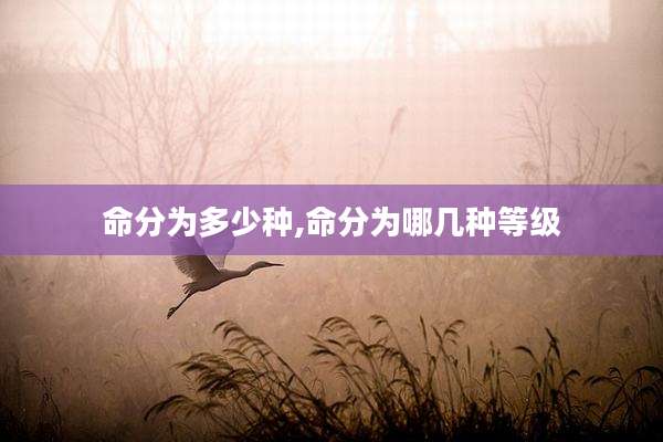命分为多少种,命分为哪几种等级