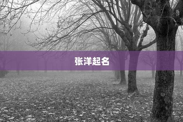 张洋起名