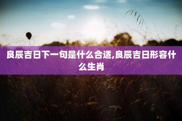 良辰吉日下一句是什么合适,良辰吉日形容什么生肖