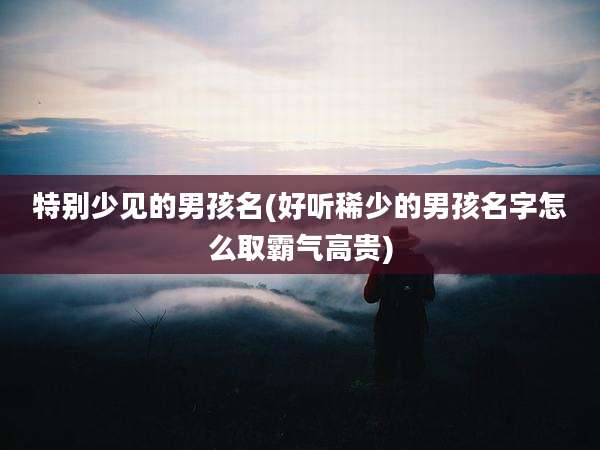 特别少见的男孩名(好听稀少的男孩名字怎么取霸气高贵)