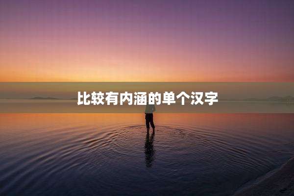 比较有内涵的单个汉字