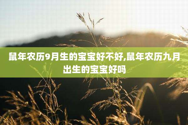 鼠年农历9月生的宝宝好不好,鼠年农历九月出生的宝宝好吗