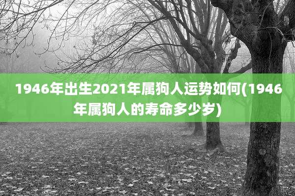 1946年出生2021年属狗人运势如何(1946年属狗人的寿命多少岁)