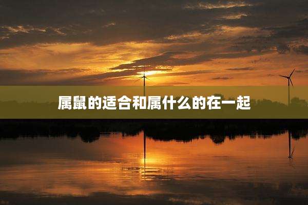 属鼠的适合和属什么的在一起