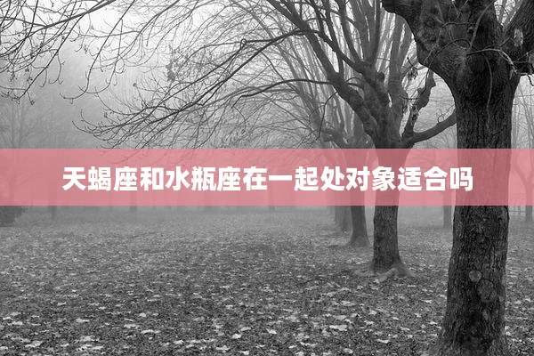 天蝎座和水瓶座在一起处对象适合吗