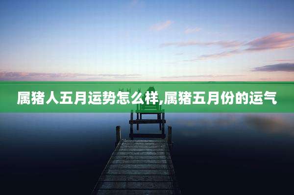 属猪人五月运势怎么样,属猪五月份的运气