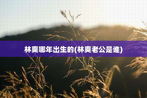 林爽哪年出生的(林爽老公是谁)