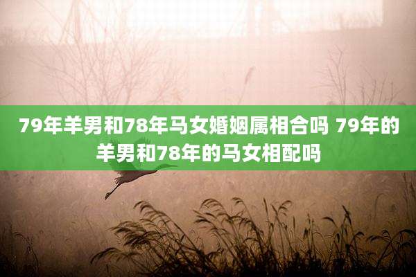 79年羊男和78年马女婚姻属相合吗 79年的羊男和78年的马女相配吗