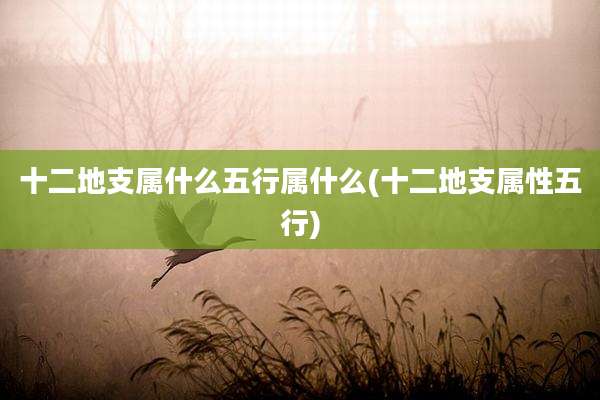 十二地支属什么五行属什么(十二地支属性五行)