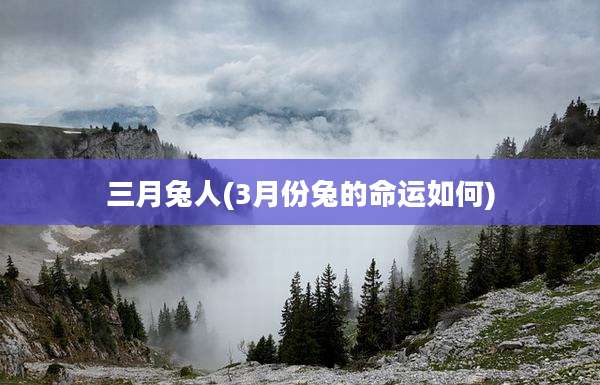 三月兔人(3月份兔的命运如何)