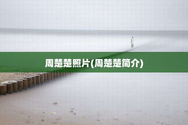 周楚楚照片(周楚楚简介)