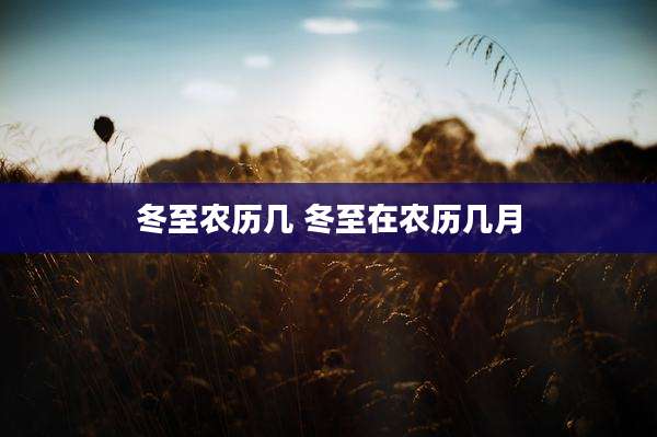 冬至农历几 冬至在农历几月
