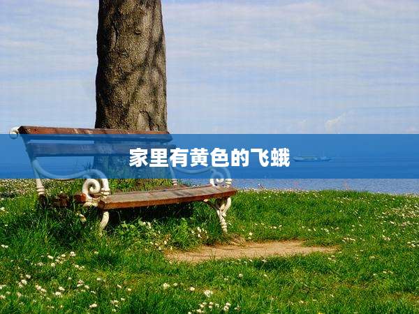 家里有黄色的飞蛾