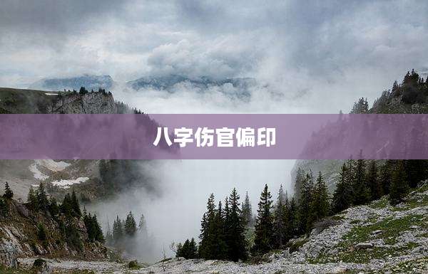 八字伤官偏印