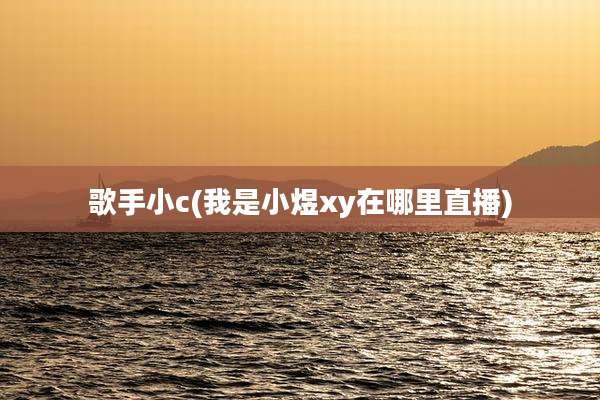 歌手小c(我是小煜xy在哪里直播)