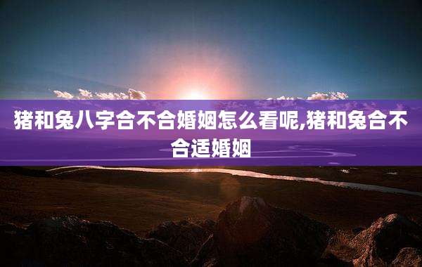 猪和兔八字合不合婚姻怎么看呢,猪和兔合不合适婚姻