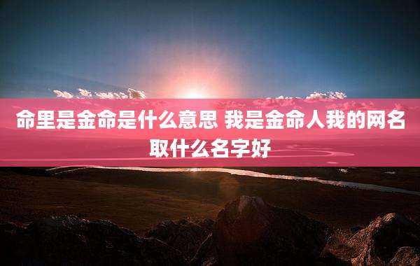 命里是金命是什么意思 我是金命人我的网名取什么名字好